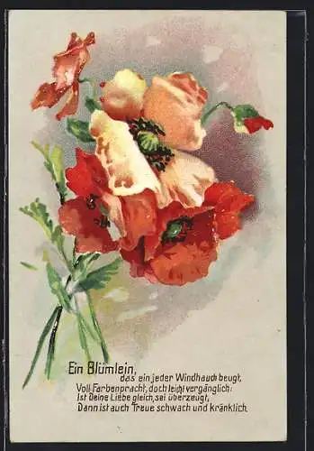 Präge-AK Mohnblumen, Ein Blümlein, das ein jeder Windhauch beugt...