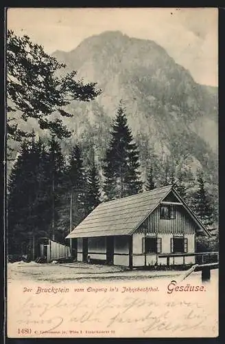 AK Gesäuse, Blick auf den Bruckstein vom Eingang in`s Johnsbachthal