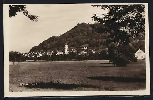 AK Wildon /Stmk., Gesamtansicht aus der Ferne mit Kirche