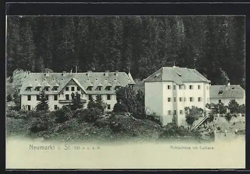 AK Neumarkt i. St., Das Pichlschloss mit Curhaus