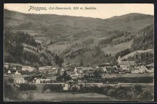 AK Pinggau, Panoramablick