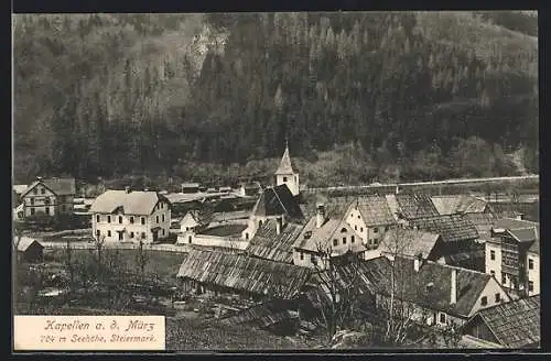 AK Kapellen a. d. Mürz, Ortsansicht