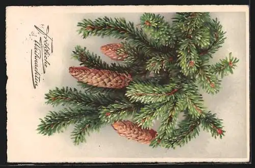 AK Landpoststempel Sachsendorf über Cottbus