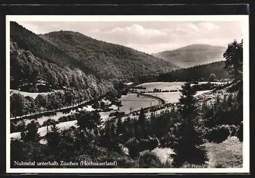 AK Landpoststempel Liesen über Hallenberg /Kr. Brilon