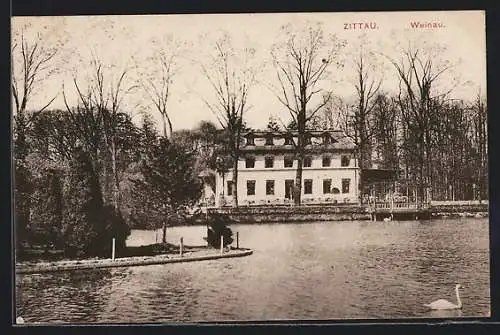 AK Zittau, Blick aufs Restaurant Zur Weinau im Weinaupark