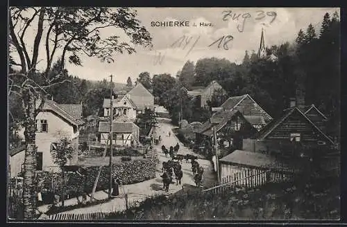 AK Schierke i. Harz, Ortsansicht mit eine Herde Rindern auf der Hauptstrasse