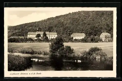 AK Schönau / Gemünden, Idyllische Ortsansicht