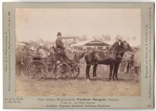 Fotografie H. Schnaebeli, Berlin, Ausstellung Landwirtschafts Gesellschaft Magdeburg 1889, Zweispänner Forlaner Rappen