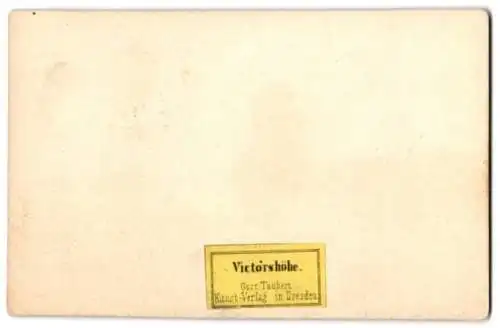 Lithographie Victorshöhe, Gasthaus & Aussichtsturm, Lithographie von Gust. Täubert, Dresden um 1850, 11 x 7cm, 11 x 7cm