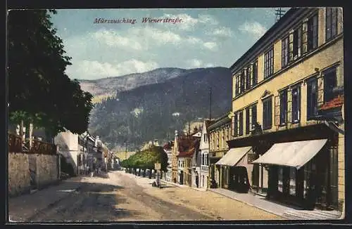 AK Mürzzuschlag, Wienerstrasse mit Geschäften und Bergblick