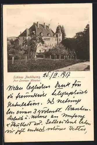 AK Nechlheim, Seitenansicht vom Schloss