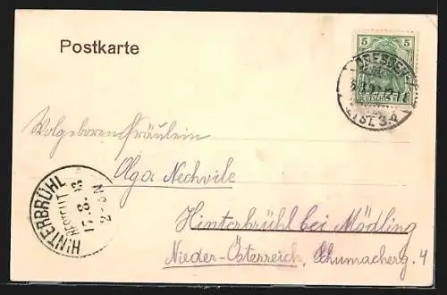 AK Dresden, Der Zwinger mit. Blick auf die Kirche