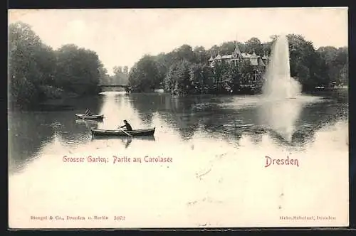 AK Dresden, Grosser Garten, Partie m. Ruderbooten am Carolasee