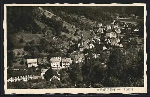 AK Krippen, Blick auf die Ortschaft m. Kirche