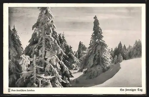 AK Bahnpoststempel Braunschweig-Bad Harburg, Zug 829