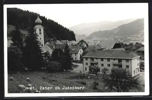 AK St. Peter ob Judenburg, Ortsansicht m. Kuhweide