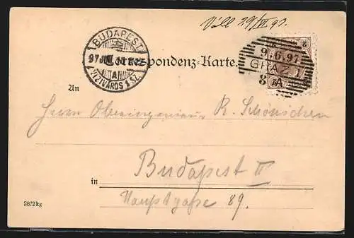 AK Graz, Panorama der Stadt mit Bergen