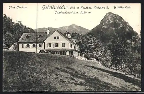 AK Johnsbach im Gesäuse, Gsatterboden, Hotel Gesäuse mit Tamischbachturm und Gsatterstein