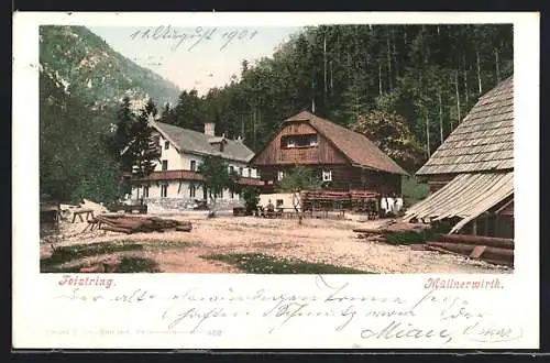 AK Aflenz, Feistring, Gasthof Müllnerwirth