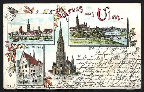 Lithographie Ulm / Donau, Rathaus, Münster, Panorama