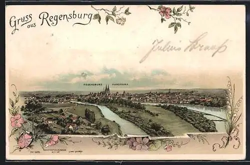 Lithographie Regensburg, Panorama mit Wasserpartie