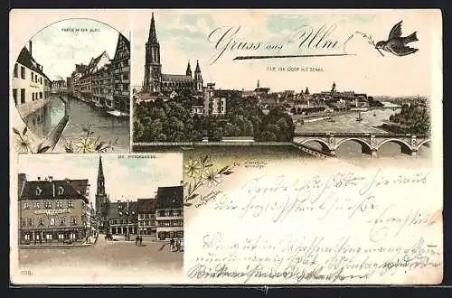 Vorläufer-Lithographie Ulm / Donau, 1895, Gasthof in der Hirschgasse, Panorama