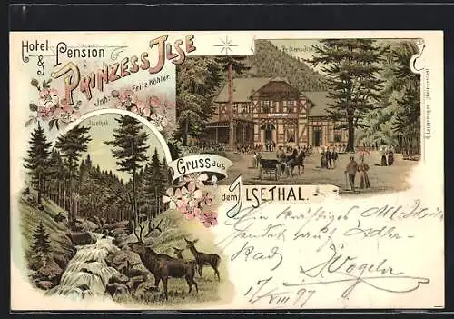 Lithographie Ilsenburg, Hotel-Pension Prinzess Ilse, Ilsethal, Hirsch, Reh