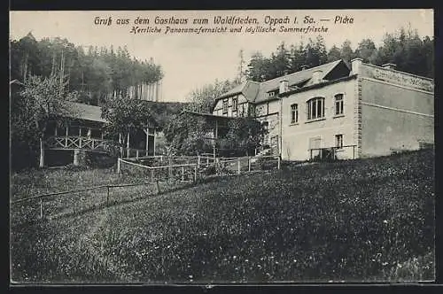 AK Oppach i. Sa., Gasthaus zum Waldfrieden