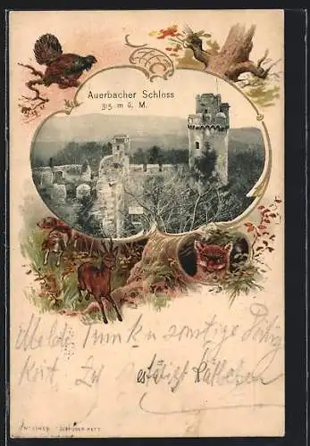 Passepartout-Lithographie Auerbach / Hessen, Schloss, Rehe und Fuchs im Wald