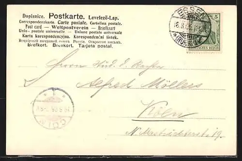 AK Essen a. d. Ruhr, Partie im Stadtgarten, Passepartout