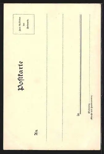 Lithographie Dresden, Brühl`sche Terrasse mit Elbe aus der Vogelschau