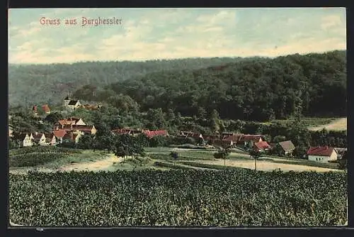AK Burghessler, Blick auf die Ortschaft u. Umgebung