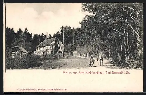 AK Bernstadt i. Sa., Steinbachthal