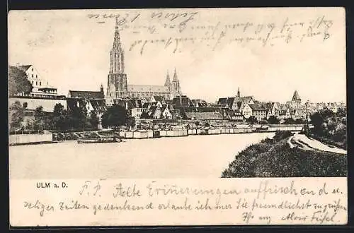 AK Ulm a. D., Ortsansicht mit Dom u. Fluss