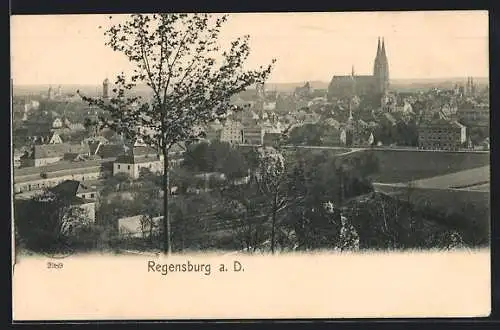 AK Regensburg a. D., Ortsansicht mit Blick auf die Kirche