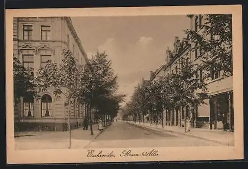 AK Eschweiler, Blick in die Strasse Rosen-Allee