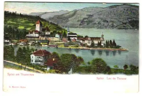Relief-AK Spiez am Thunersee, Ortsansicht gegen die Berge