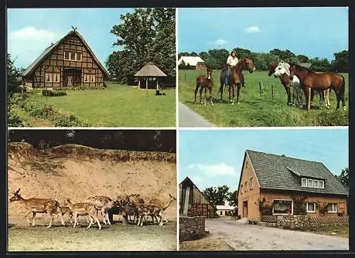 AK Trebel-Marleben, Reiterhof Klaucke mit Ferienwohnungen