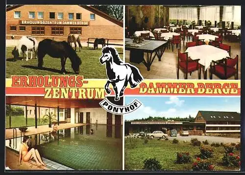AK Steinfeld /Oldb., Hotel Restaurant Dammer Berge, Ansichten v. Ponyhof