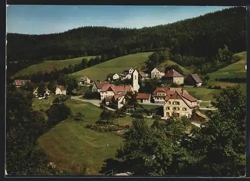 AK Reinerzau, Gasthaus Zum rauhen Felsen, Ortsansicht