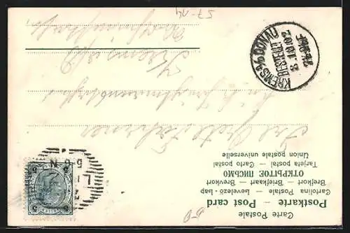 AK Blühende Alpenveilchen