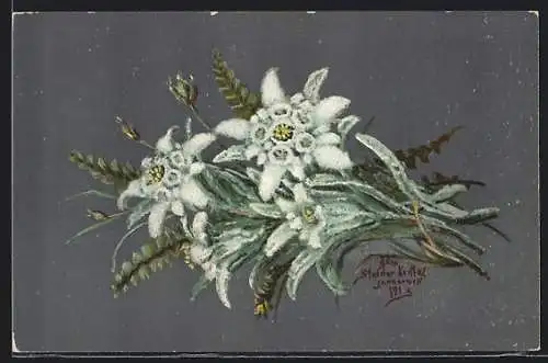 AK Edelweiss, zu einem Strauss gebunden