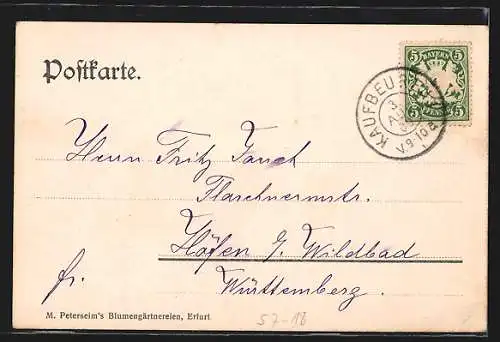 AK Edelweiss-Zweig mit Blüten