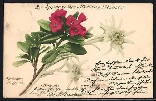 AK Edelweiss und rote Blume