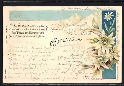 AK Edelweiss und verschneite Berge