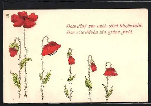 AK Blühende Mohnblumenstengel