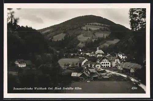 AK Waldbach, Ortsansicht mit Strasse und Bergblick