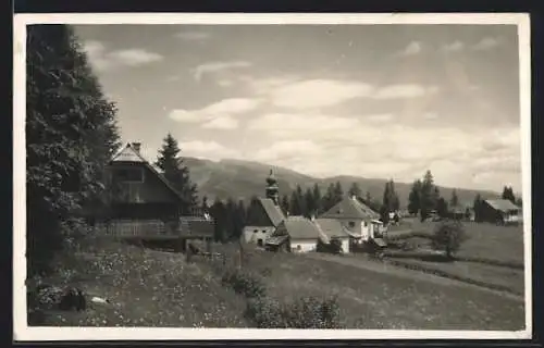 AK St. Wolfgang, Ortsansicht mit Wiesen und Bergpanorama