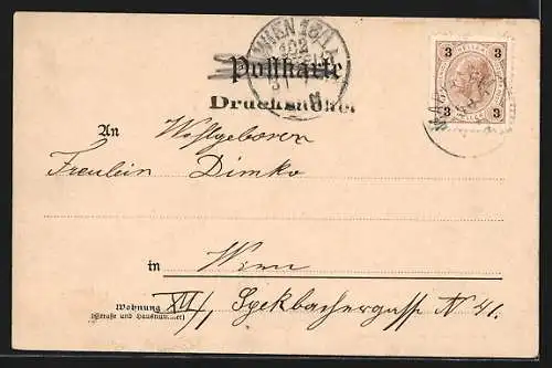 AK Mürzsteg, Ortsansicht mit Veitschalm