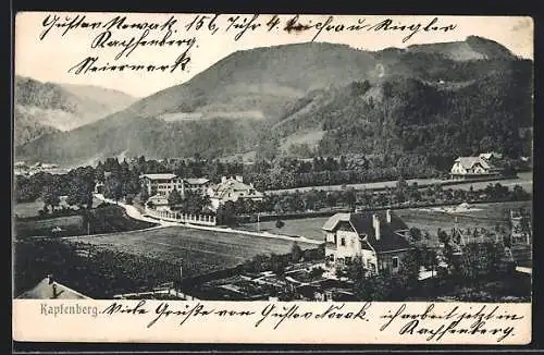 AK Kapfenberg, Ortspartie mit Bergpanorama aus der Vogelschau
